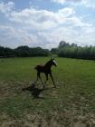 IMG_20220607_153600