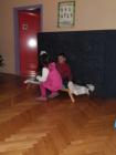 Golubi.BoINa 018
