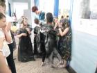 SAM_0800