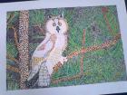 Picture 106