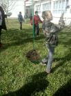 IMG-51ab6a802b93fff1c6310ddfeeb14514-V
