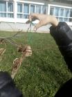 IMG-8130b307ca489db8ba337e19b1177b73-V