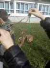 IMG-Fb5b418bce894e431c184eb587b37830-V