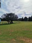 IMG-20220411-WA0008