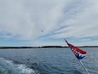 IMG-20220411-WA0015