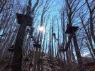 IMG-20220411-WA0031