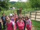 Pictureta 067