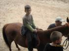 Pictureta 076