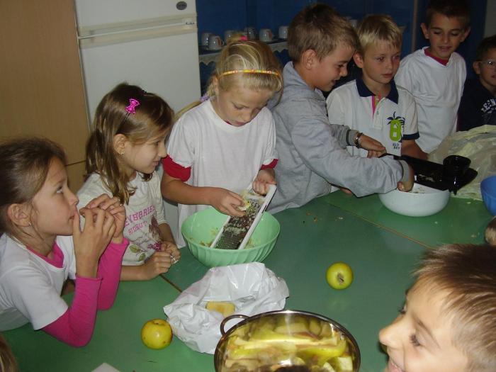 http://os-domovinske-zahvalnosti-kn.skole.hr/upload/os-domovinske-zahvalnosti-kn/album/78/large_img_23708.jpg