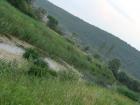 DSC09545