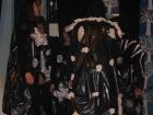 Picture 062