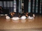 Picture 069