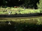 DSC01134