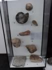 DSC01169