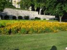 Zadar2013 089