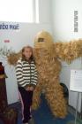 SAM_0342
