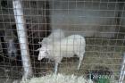 SAM_0374