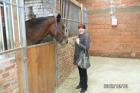 SAM_0381