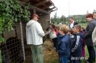 SAM_0383
