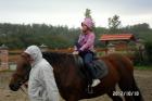 SAM_0390