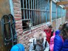 IMG_20141029_094045