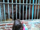 IMG_20141029_094235