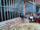 IMG_20141029_095848