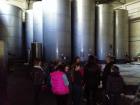IMG_20141029_142031