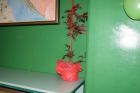 DSC09618