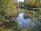 Test 3531
