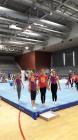 8. Mjesto Na Dravnom Natjecanju U Gimnastici