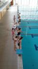 IMG-Af2e222a8c2f34e41d63ea177514b219-V