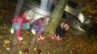 IMG-D195cf4f24242089de522886a91c1f82-V