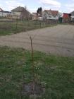20190326_132707_resized_2