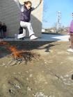 SAM_0671