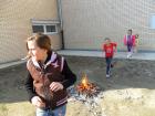 SAM_0734