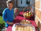 SAM_3570
