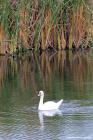 Image012