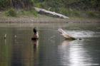 Image025