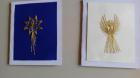 IMG_20151125_125408