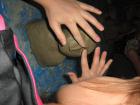 Biste 068