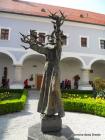 SAM_0736