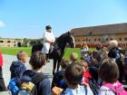SAM_0744