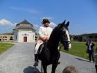 SAM_0745
