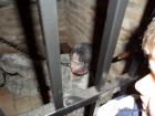 SAM_0761