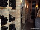 SAM_0791