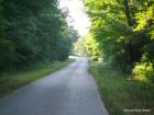 Picture 007