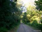 Picture 010