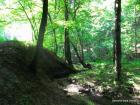 Picture 019
