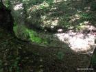 Picture 020